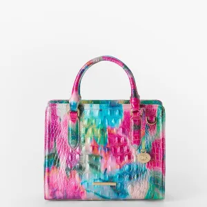 Cami Bags Brahmin Satchels