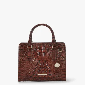 Cami Bags Brahmin Satchels