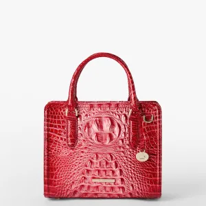 Cami Bags Brahmin Satchels