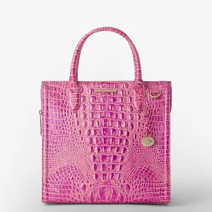 Caroline Bags Brahmin Satchels