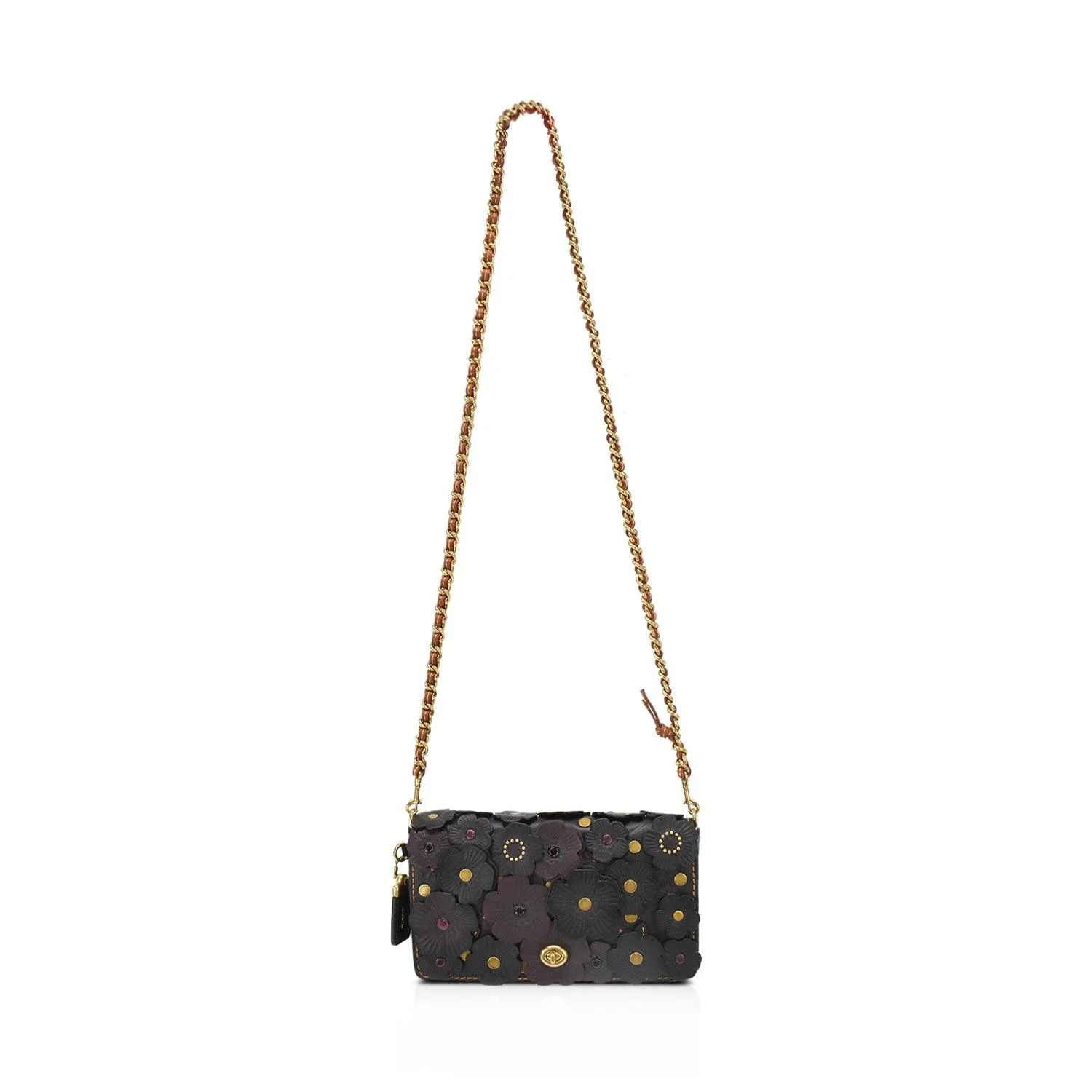 Coach Crossbody Bag