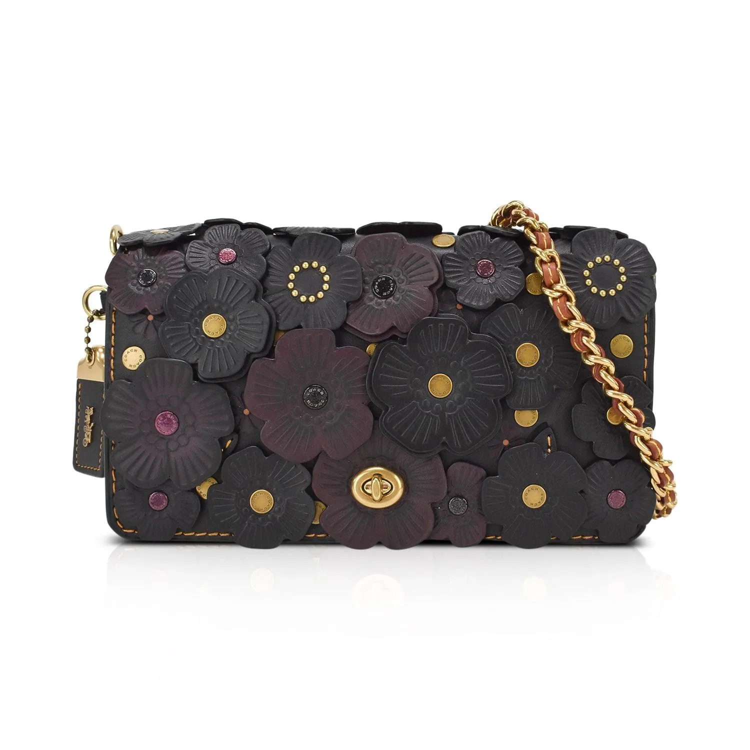 Coach Crossbody Bag