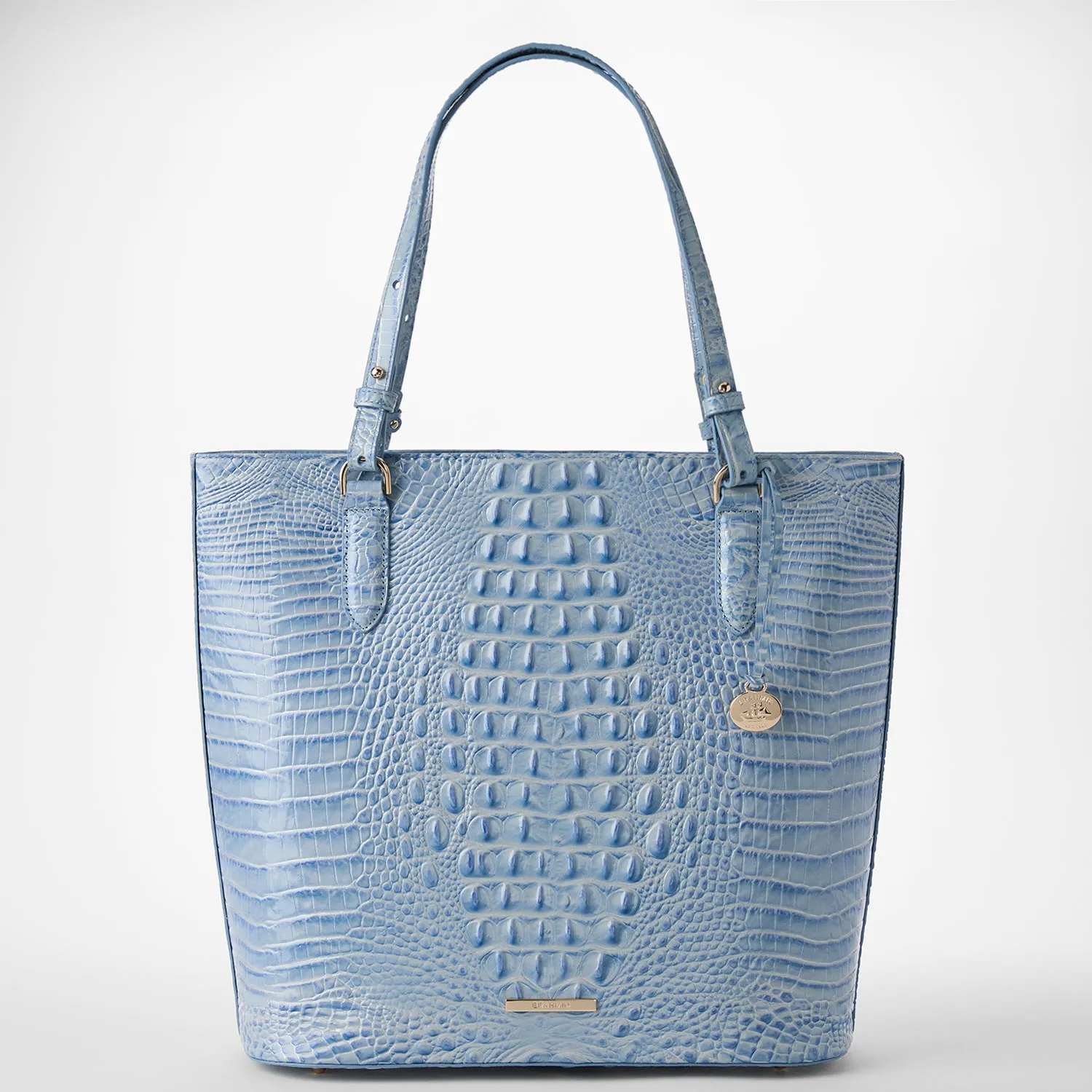Ezra Bags Brahmin Travel Bags