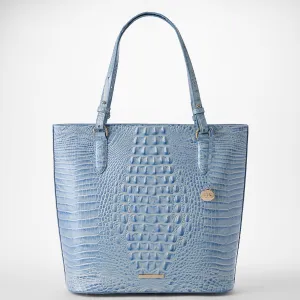 Ezra Bags Brahmin Travel Bags