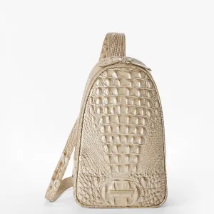 Jordan Bags Brahmin Backpacks