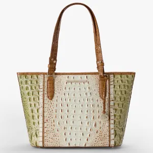 Medium Asher Bags Brahmin Travel Bags