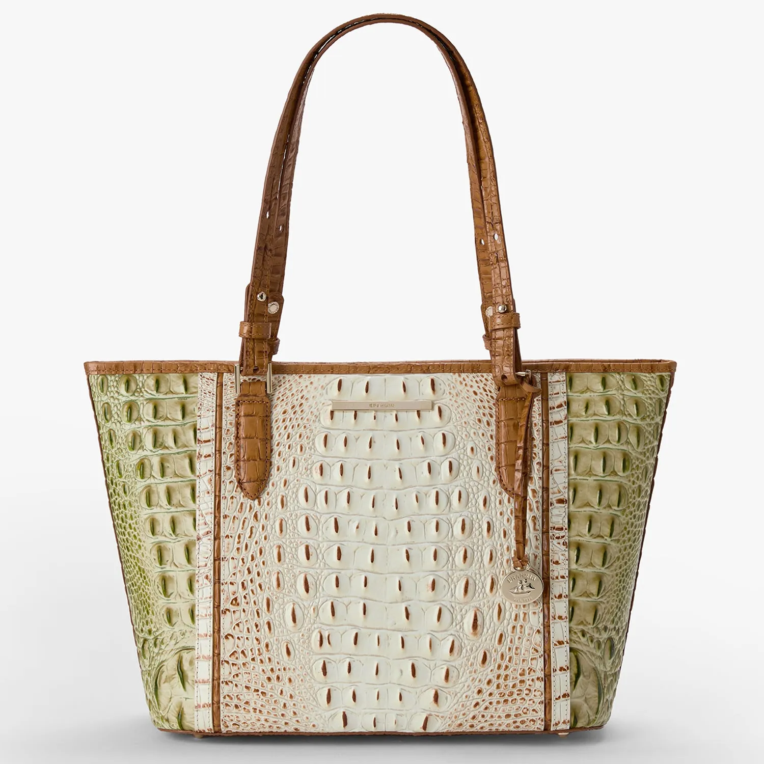 Medium Asher Bags Brahmin Travel Bags