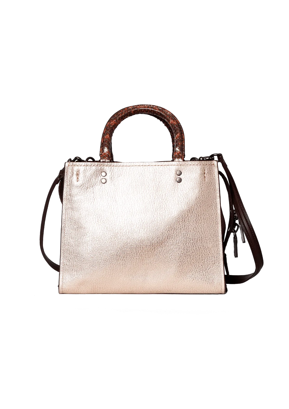 ROGUE 25 SNAKESKIN