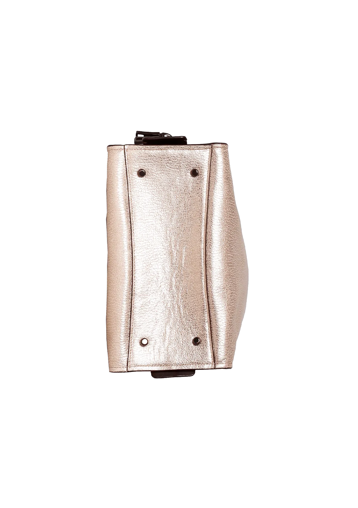 ROGUE 25 SNAKESKIN