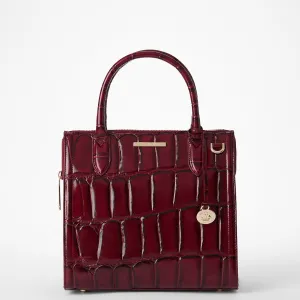 Small Caroline Bags Brahmin Satchels