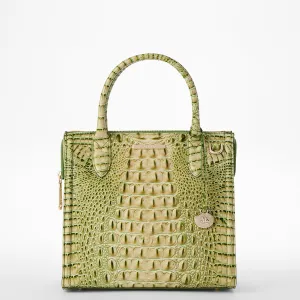 Small Caroline Bags Brahmin Satchels