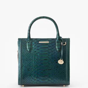 Small Caroline Bags Brahmin Satchels