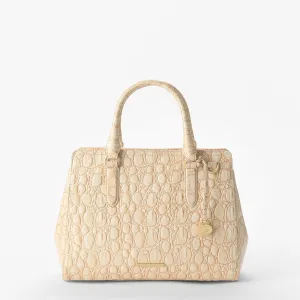 Small Finley Bags Brahmin Totes Carryalls